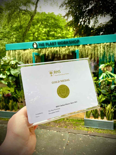 Gold Award at The Chelsea Flower Show | The Plant Workshop