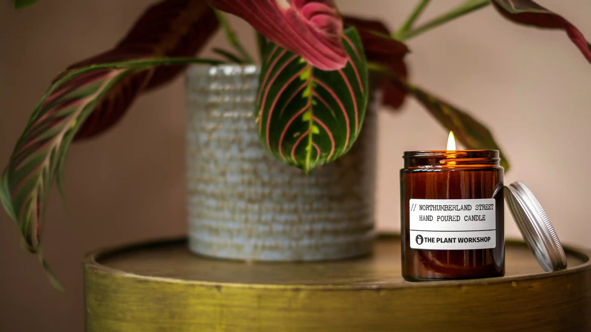 A lit amber glass jar candle with a white label reading 'The Plant Workshop' sits on a round wooden table next to its silver lid, styled with a textured ceramic pot and green and pink plant leaves in the background.