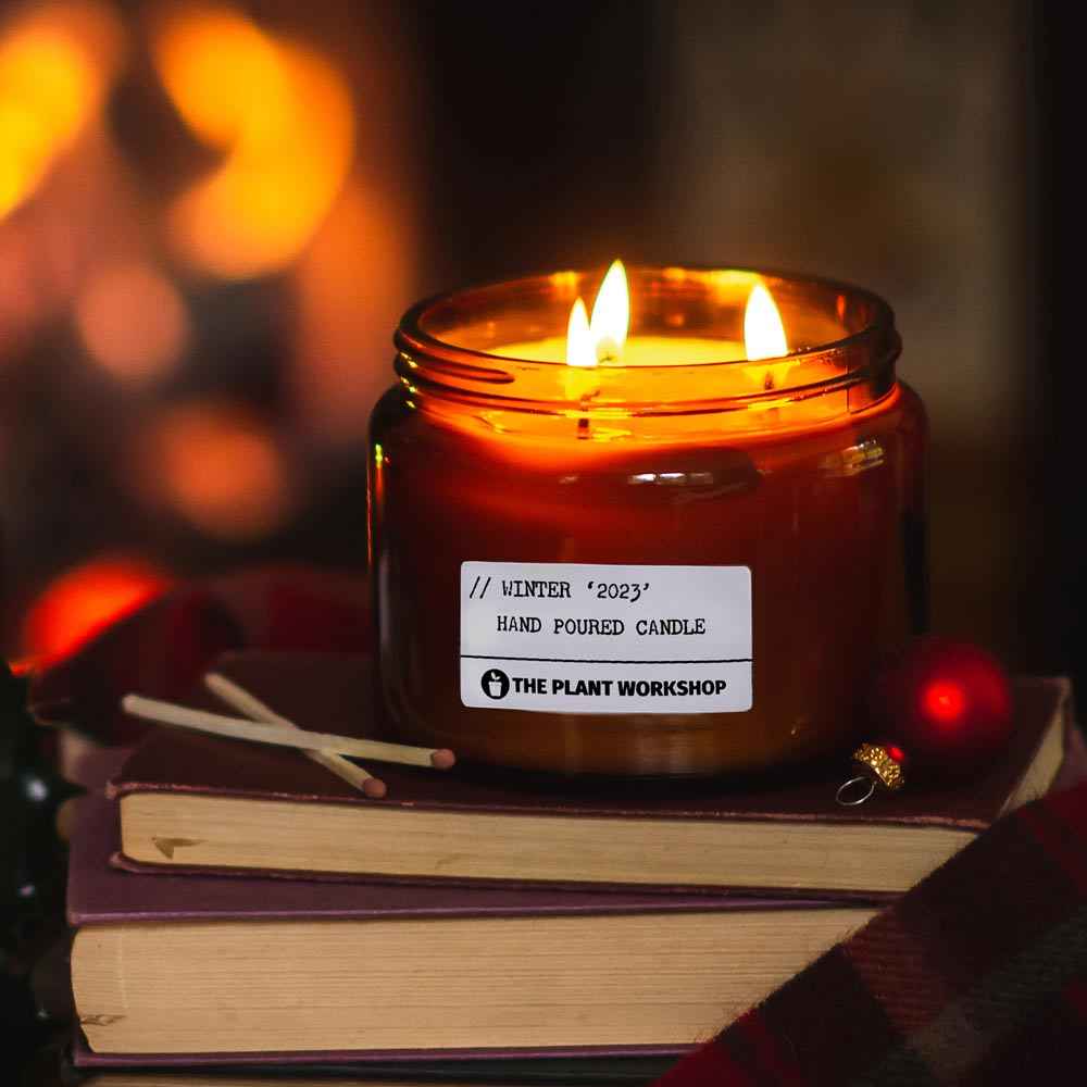 Winter home fragrance from The Plant Workshop