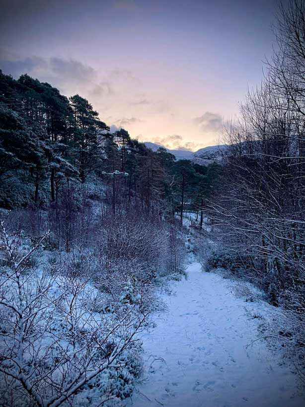 Snowy winter scene from The Plant Workshop in the Scottish Highlands