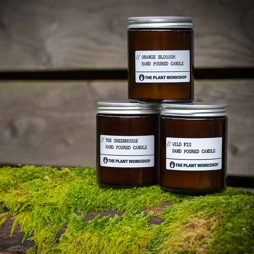 Floral home fragrance collection from The Plant Workshop