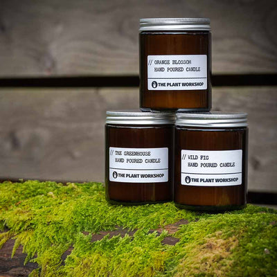 Floral Fragrances | The Plant Workshop