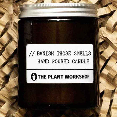Banish those smells!