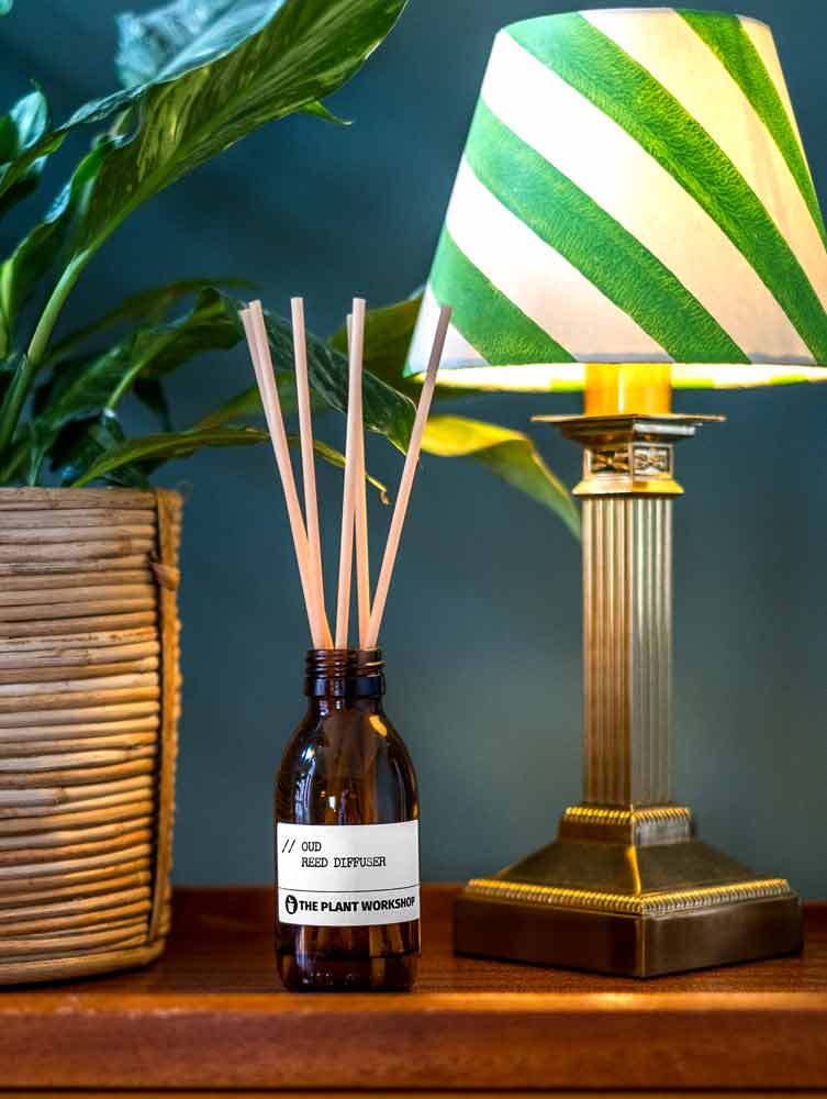 Oud reed diffusers from The Plant Workshop in a warm home setting