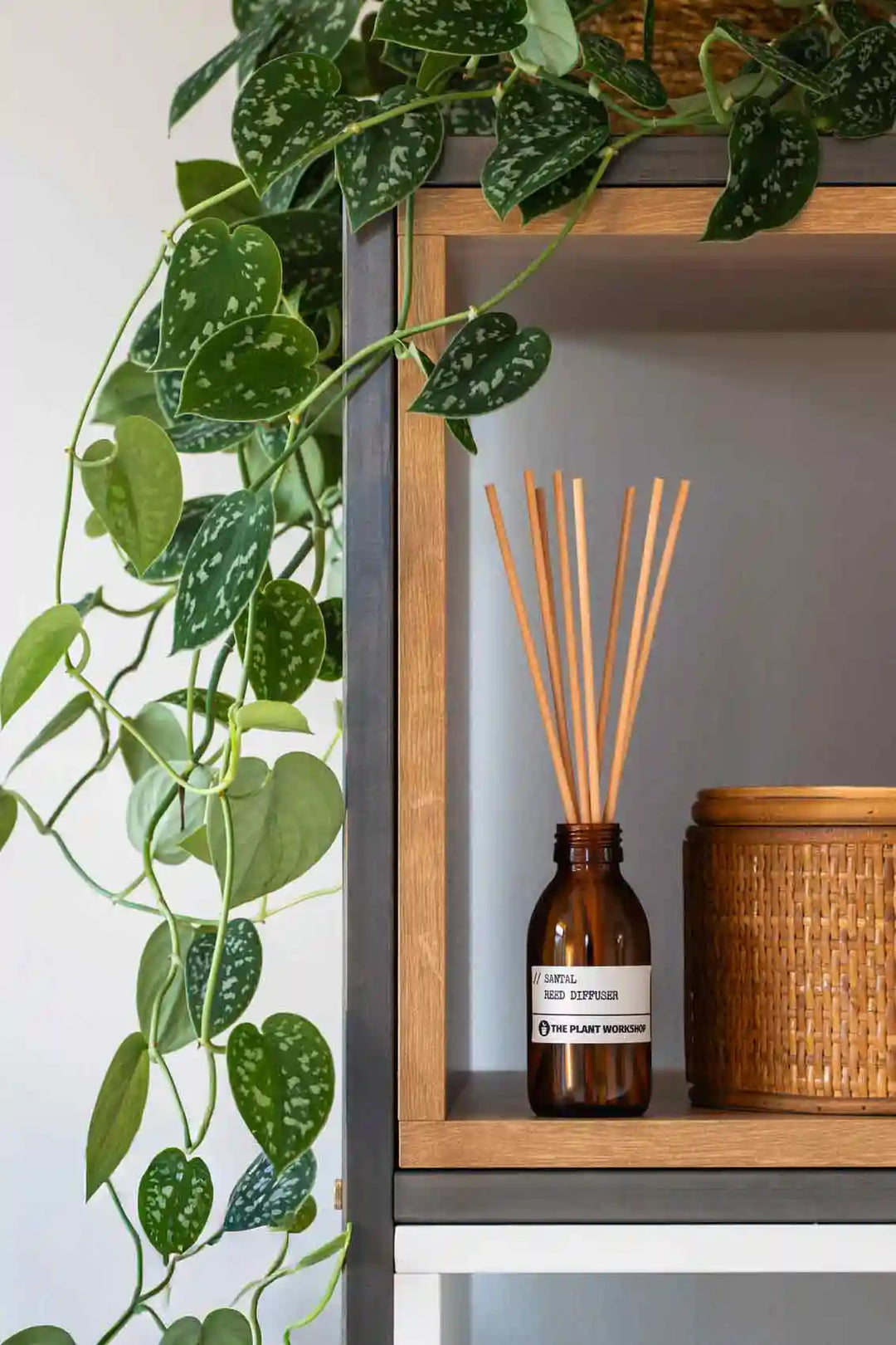 Reed diffusers by The Plant Workshop made in the Scottish Highlands