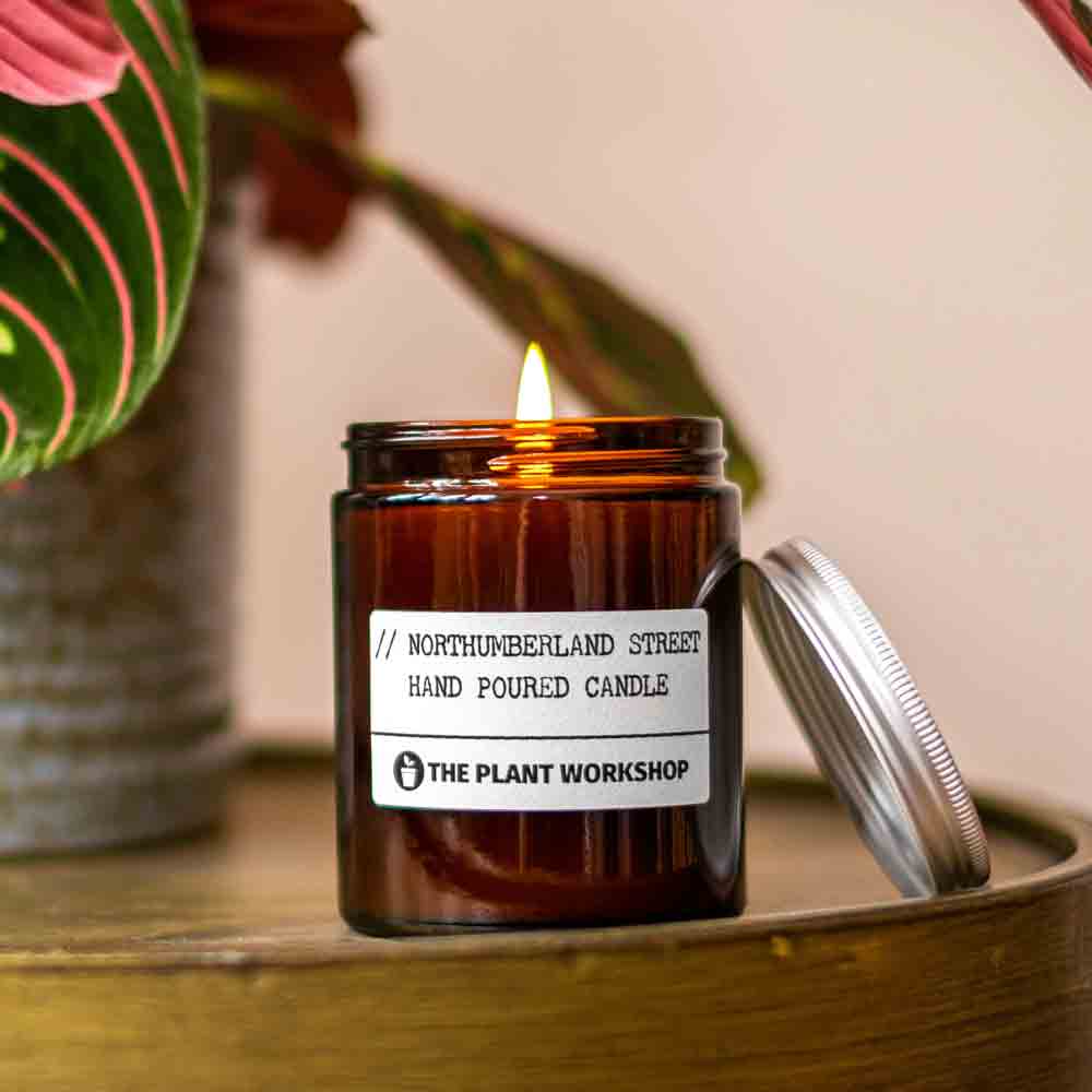Home fragrance from The Plant Workshop