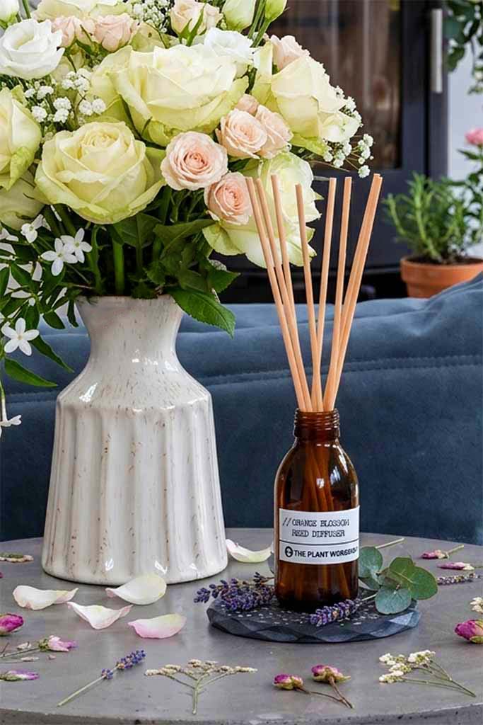 The Plant Workshop Floral scent collection showing an orange blossom reed diffuser next to white roses and lavender petals.