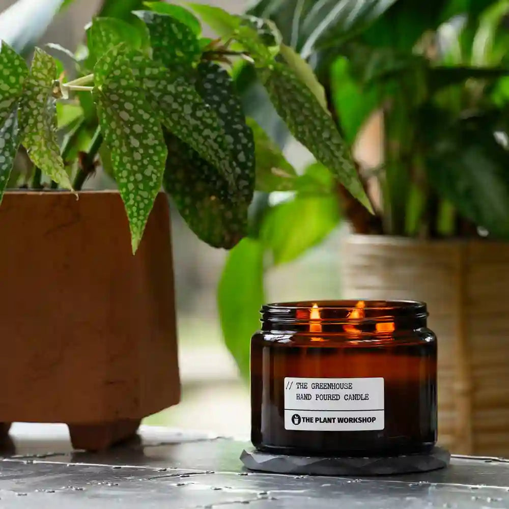 Home Fragrance