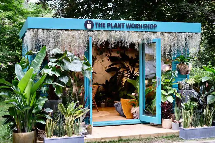 The Plant Workshop RHS Chelsea Flower Show Gold Medal display