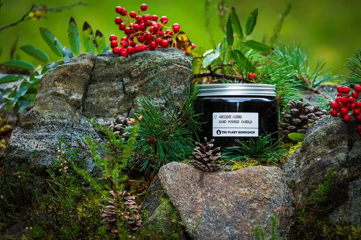 Ancient Myrrh home fragrance and body care collection