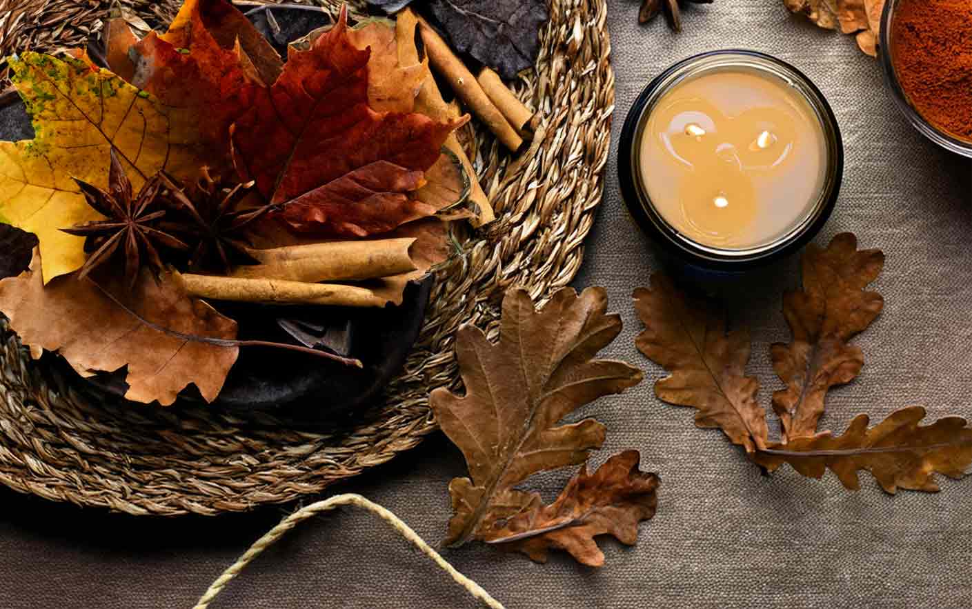 Autumn candles by The Plant Workshop. Made in Scotland in the Scottish Highlands. Featuring Pumpkin Spice, Highland Pine, Winter, Edwardian Fireside, Gingerbread. Spices, including cinnamon, nutmeg.
