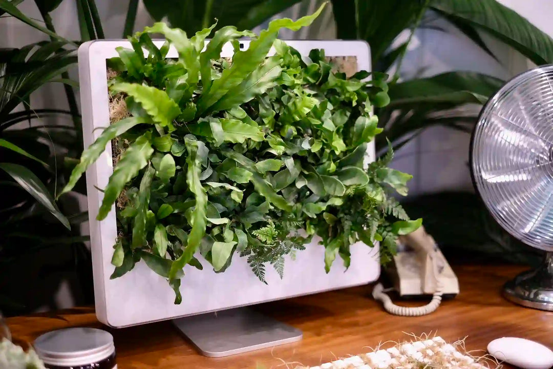 The Plant Workshop home fragrance styled beside a computer desk