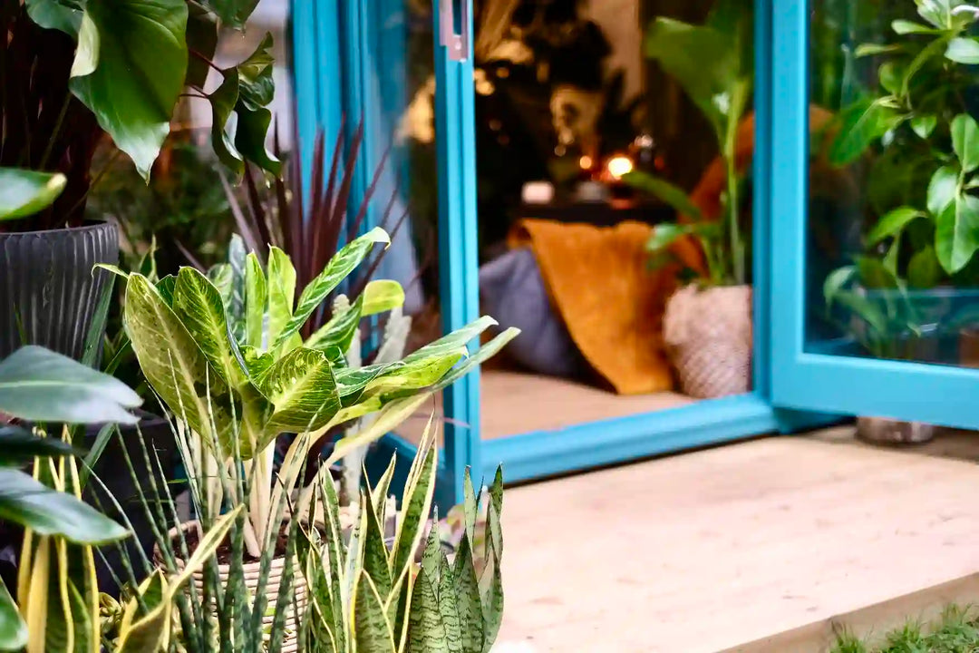 The Plant Workshop home fragrance styled in a work from home setting