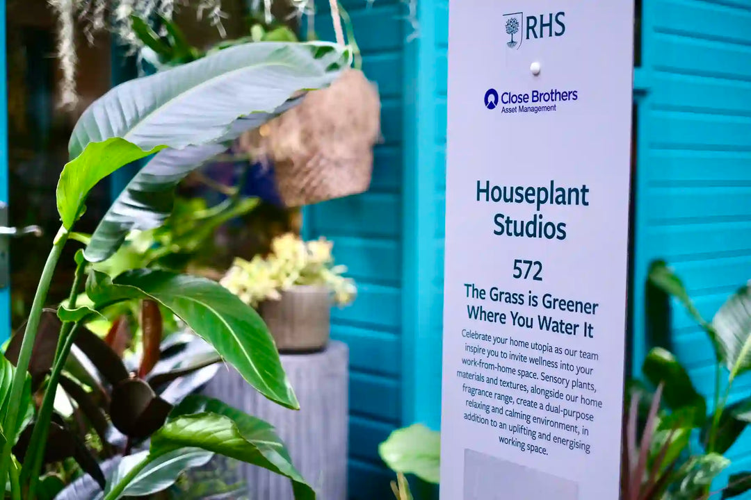 The Plant Workshop Chelsea Flower Show fragrance display and signage