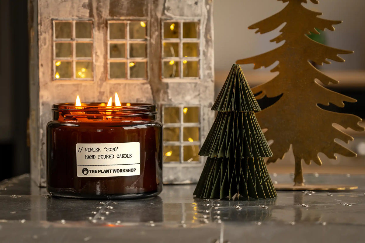 Winter 2026 candle by The Plant Workshop with festive trees and warm lights