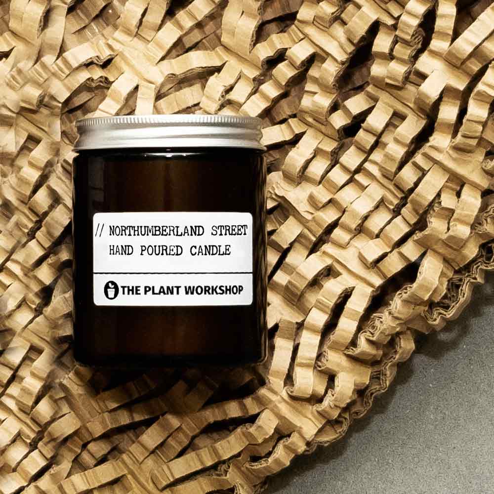 Northumberland Street Candle | The Chelsea Flower Show - The Plant Workshop